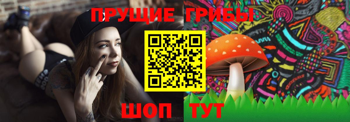 Псилоцибиновые грибы Psilocybe Ялуторовск